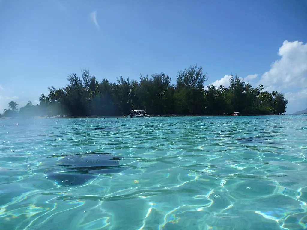 Lodge Villa Fare Vaihere à Moorea Polynésie française